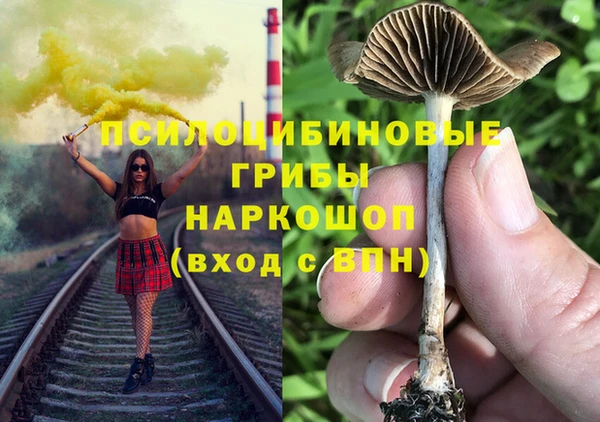 ГАЛЛЮЦИНОГЕННЫЕ ГРИБЫ Остров