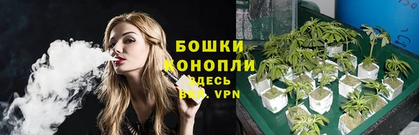 ГАЛЛЮЦИНОГЕННЫЕ ГРИБЫ Остров