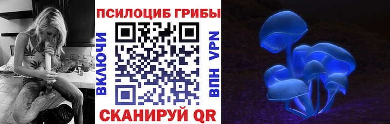Галлюциногенные грибы MAGIC MUSHROOMS  Ртищево 