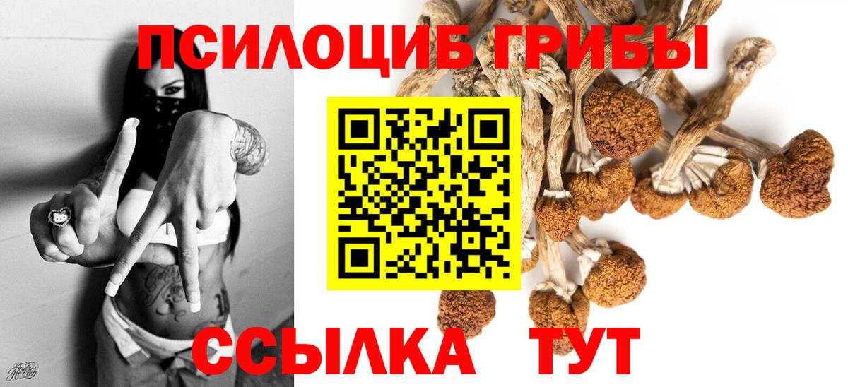купить  цена  Галлюциногенные грибы ЛСД  Вход с VPN  Ртищево  Псилоцибиновые грибы Cubensis 