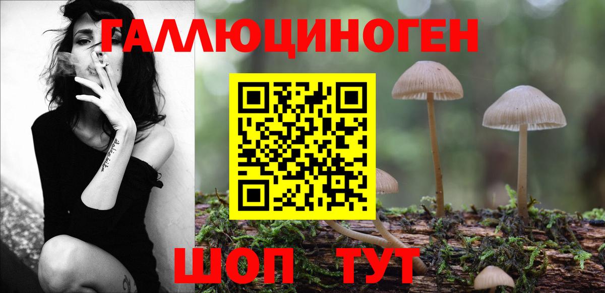 Галлюциногенные грибы MAGIC MUSHROOMS  Галлюциногенные грибы ЛСД  цена наркотик  Вход с VPN  Ртищево 