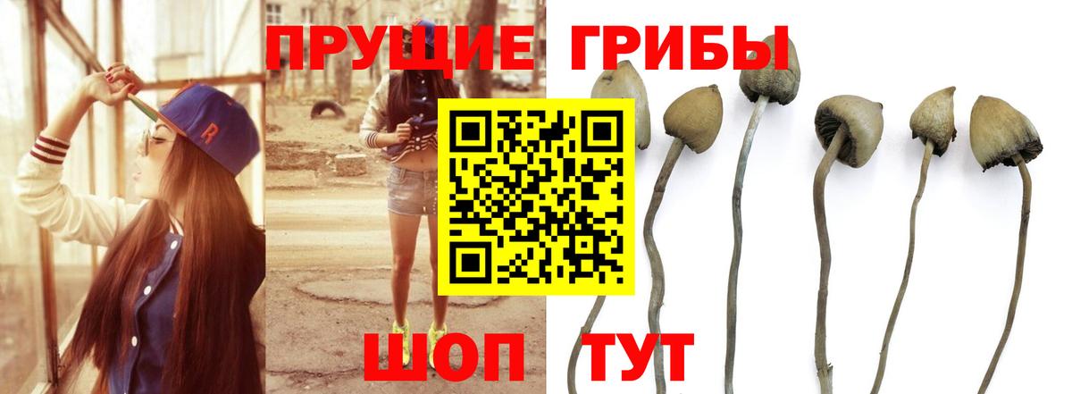 Галлюциногенные грибы мухоморы Ртищево